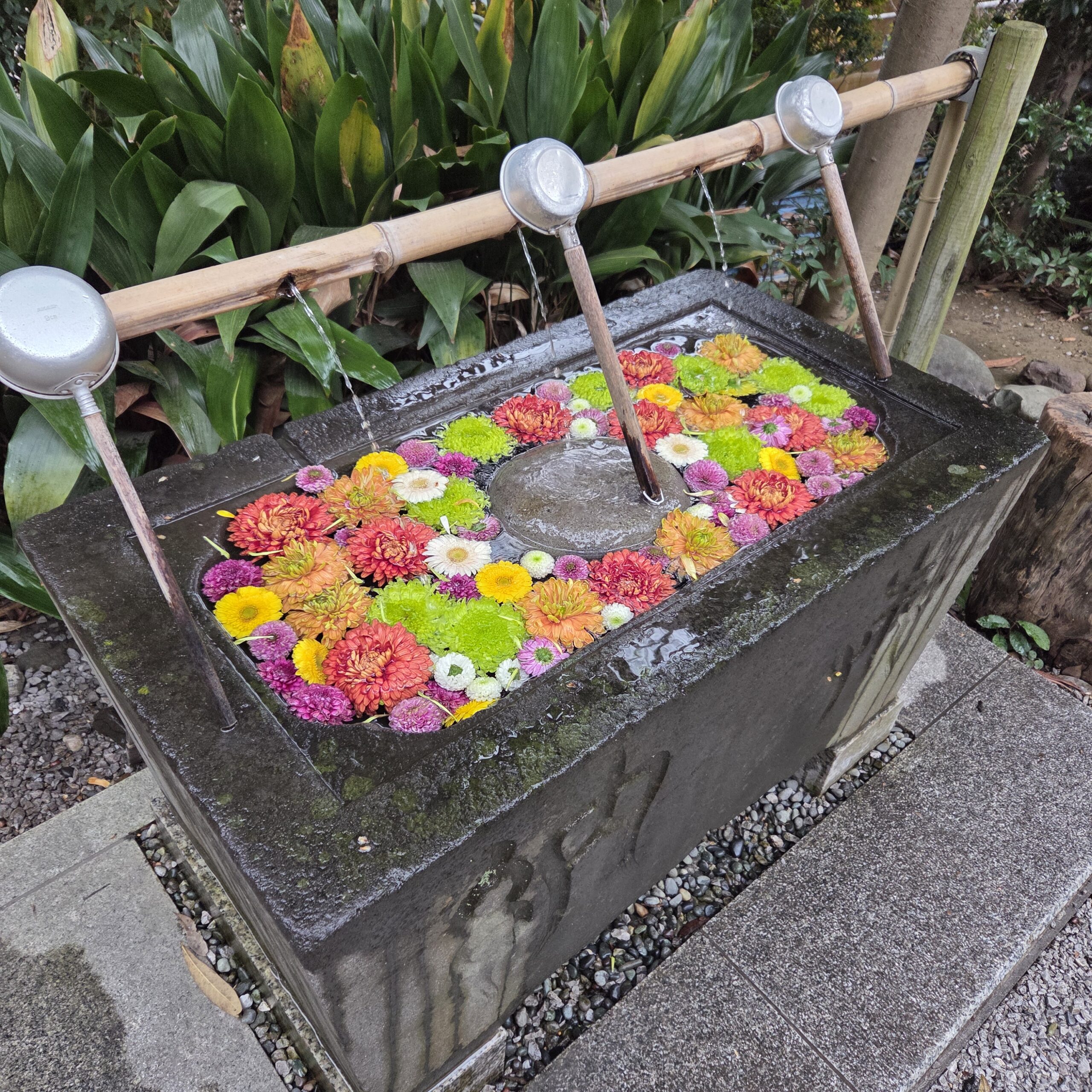 謹賀新年✨明けましておめでとうございます🎍🐎✨